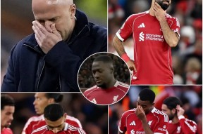 金年会官网入口-筚路维艰